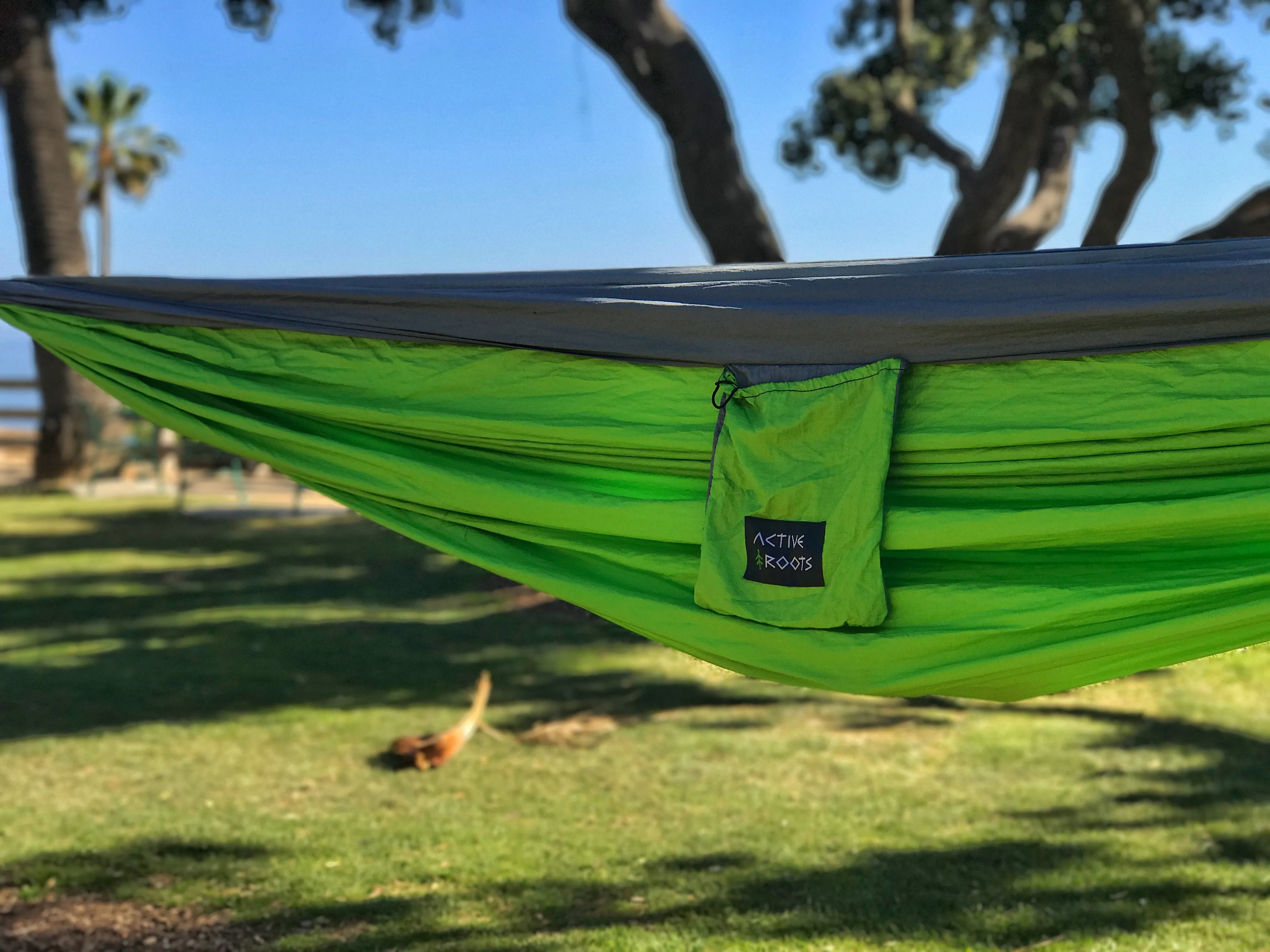 Green/Gray Hammock