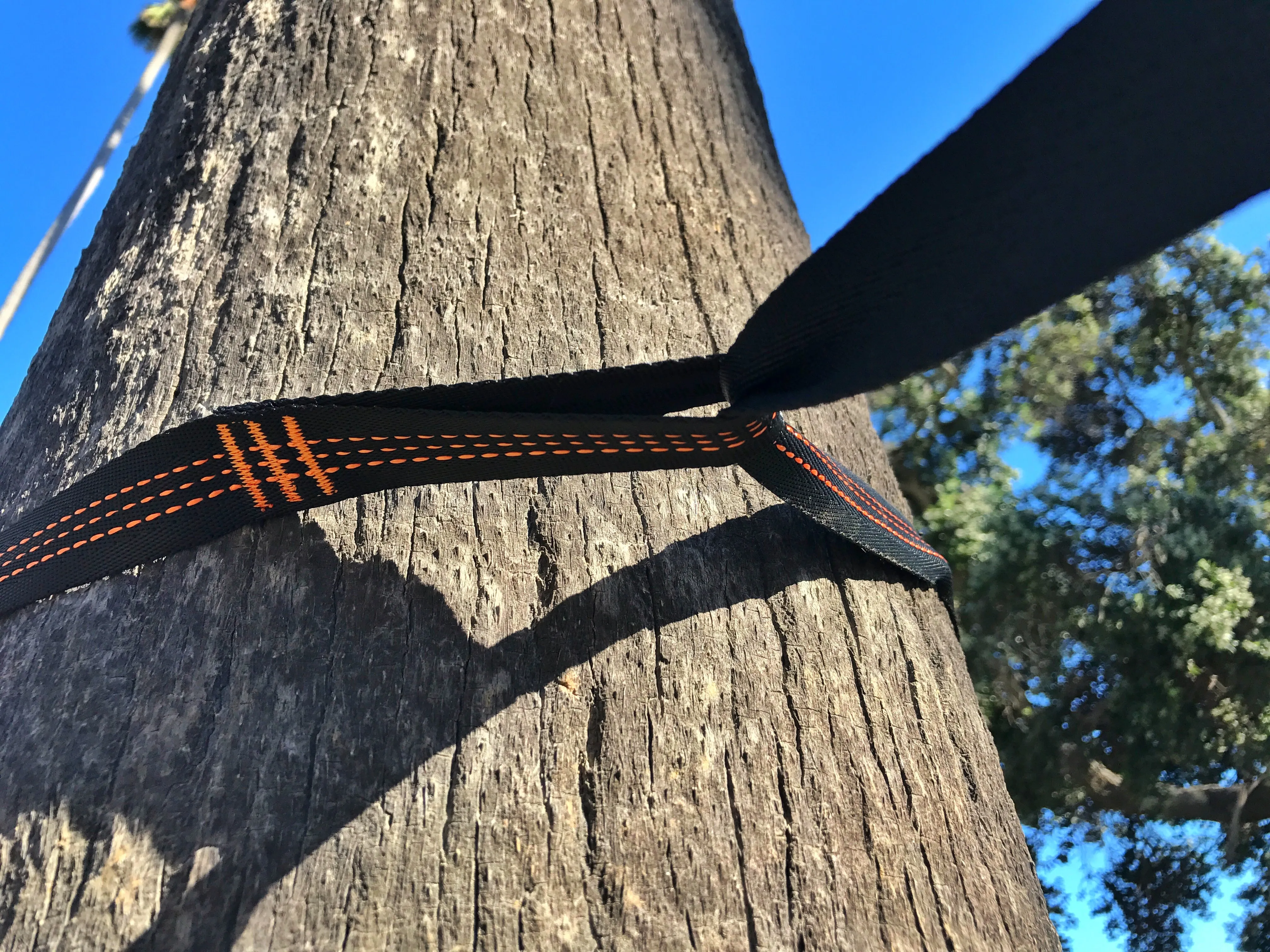 Green/Gray Hammock